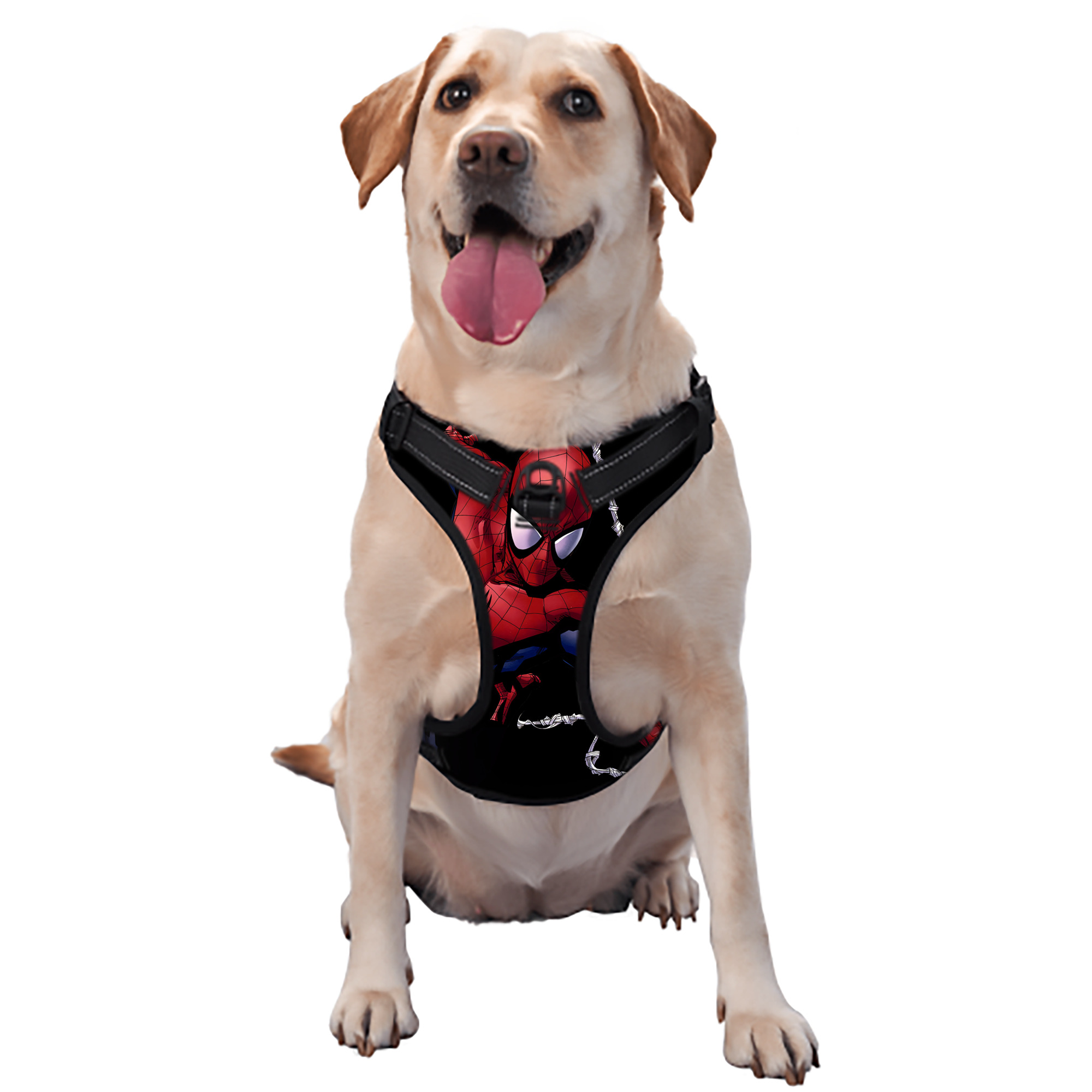 （画像用） Spider Man スパイダーマン ペット用ハーネス